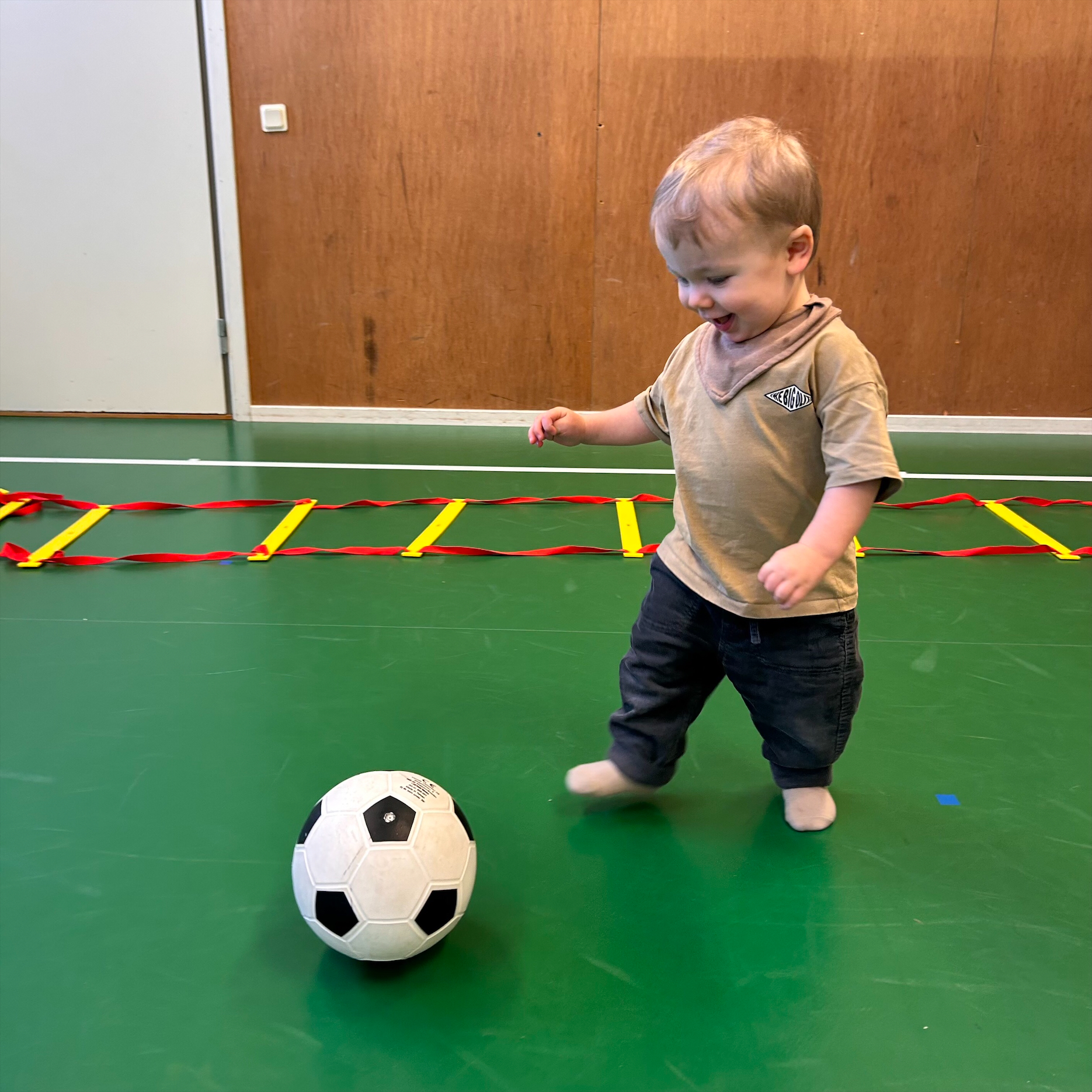 Inflyttningslots Mellerud 